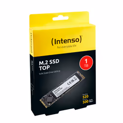 Intenso Top M.2 1 To Série ATA III 3D NAND