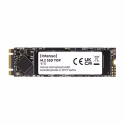 Intenso Top M.2 1 To Série ATA III 3D NAND