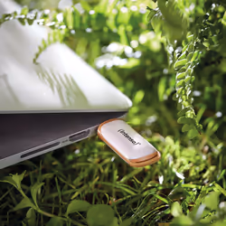 Intenso Green Line lecteur USB flash 64 Go USB Type-A 3.2 Gen 1 (3.1 Gen 1) Beige, Marron