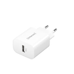 Intenso 1x USB-A Adapter weiß Universel Blanc Secteur Intérieure