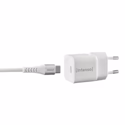 Intenso 7803042 chargeur d'appareils mobiles Universel Blanc Secteur Charge rapide Intérieure