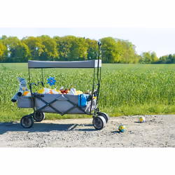 Pinolino Kinderträume Chariot Enfant Pliable - Vue supplémentaire 7
