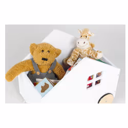 Pinolino Kinderträume 213470 jouet à tirer et à pousser