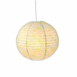 Niermann Standby 4036239001071, 1 ampoule(s), E27, Multicolore