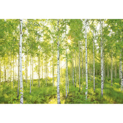 Trenddeko KO8-519 Peinture murale