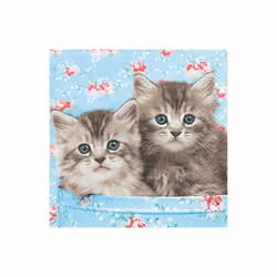 PW International 20 Serviettes Chats, Papier, Bleu, 14 an(s), 99 an(s), Femelle, À utiliser sous la surveillance d’un adulte