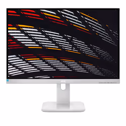 AOC P1 24P1/GR LED display 23.8" Full HD Gris