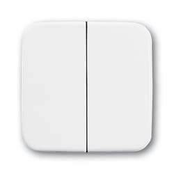 Busch-Jaeger 2505-214 accessoire de commutation électrique