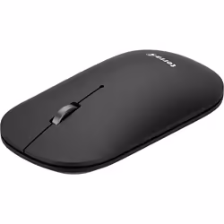 Wortmann AG TERRA NBM1000B souris Ambidextre RF sans fil + Bluetooth Optique 4000 DPI