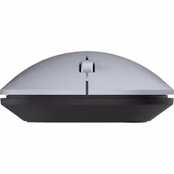 Wortmann AG TERRA NBM1000S souris Ambidextre RF sans fil + Bluetooth Optique 4000 DPI