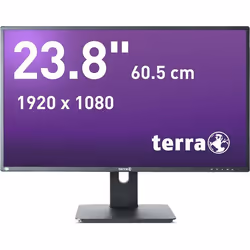 Wortmann AG TERRA 3030206, 60,5 cm (23.8"), 1920 x 1080 pixels, Full HD, LED, 5 ms, Noir