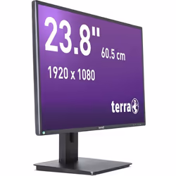 Wortmann AG TERRA 3030206 LED display 23.8" Full HD Noir