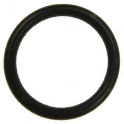 Karcher Bague de Guarnicion EPDM 22x3