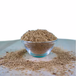 cdVet Obstetrics Mixture 400 g Chat / chien Poudre
