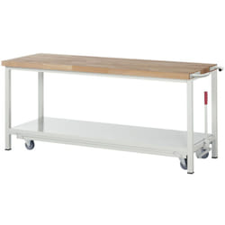 Etabli RAU avec châssis abaissable modèle 8000 l 2000 x p 700 x h 880mm