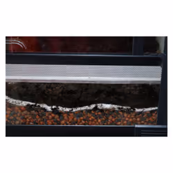 Lucky Reptile HF-100 substrat pour reptiles et amphibiens