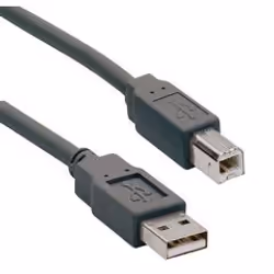 Ednet USB A - USB B 1.8 m, 1,8 m, USB A, USB B, Mâle/Mâle, Noir
