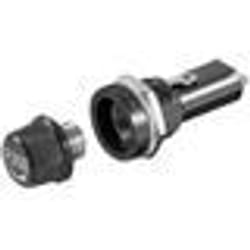 Fixpoint GSH 135