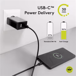 Wentronic 49254 câble USB 1 m USB 3.2 Gen 2 (3.1 Gen 2) USB C Noir