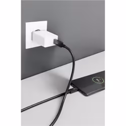 Wentronic 49254 câble USB 1 m USB 3.2 Gen 2 (3.1 Gen 2) USB C Noir