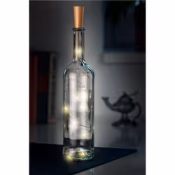 Goobay 49855 lumière décorative Lampes de fée Châtain clair, Argent 10 lampe(s) LED 0,04 W