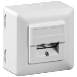 Goobay 50943 prise de courant 2 x RJ-45 Blanc