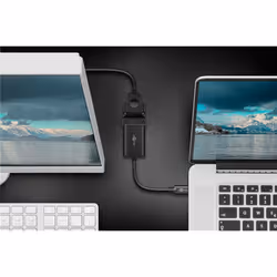 Goobay 51776 adaptateur graphique USB 1920 x 1080 pixels Noir