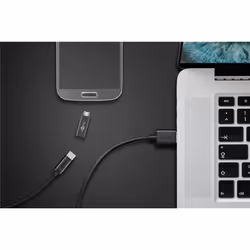 Goobay 55553 changeur de genre de câble USB Micro B USB C Gris