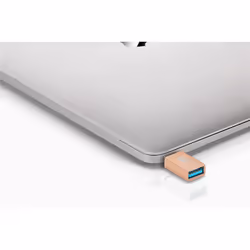 Goobay 56622 changeur de genre de câble USB-C USB-A Or