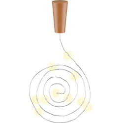 Goobay 57866 lumière décorative Guirlande lumineuse décorative Châtain clair, Argent 10 lampe(s) LED 0,04 W