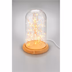 Goobay 60340 lumière décorative Figurine lumineuse décorative Beige, Transparent, Blanc 50 lampe(s) LED