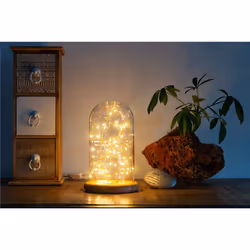 Goobay 60340 lumière décorative Figurine lumineuse décorative Beige, Transparent, Blanc 50 lampe(s) LED - Vue supplémentaire 6