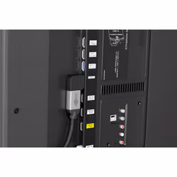 Goobay 65750 câble vidéo et adaptateur HDMI Type A (Standard) Noir