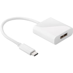 Goobay USB-C/DisplayPort adaptateur graphique USB 1920 x 1080 pixels Blanc