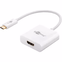 Goobay 66259 adaptateur graphique USB Blanc