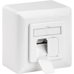 Goobay 68572 prise de courant 2 x RJ-45 Blanc