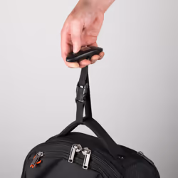 Goobay 71882 pèse-bagage 40 kg Électronique