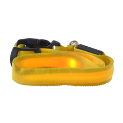 Ultron 142446 collier pour chiens et chats Jaune Chien