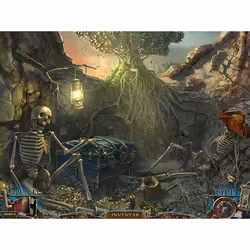 Big Fish Dark Tales: Edgar Allan Poe's The Gold Bug Collector's Edition Collectionneurs PC