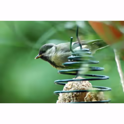 Dobar 11050 mangeoire pour oiseau Vert Métal Support