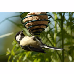 Dobar 11050 mangeoire pour oiseau Vert Métal Support
