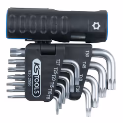 KS Tools 920.2550, Jeu de clés hexagonales en T, 10 pièce(s), Manche en t avec bras court, Sulfate de chondroïtine, 600 g