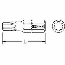 1/4 Embout Bit pour vis Torx plus, 30mm, IP10