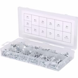 Assortiment de vis auto-taraudeuses bois, 550 pcs
