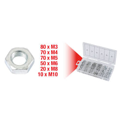 Assortiment d'écrous x300