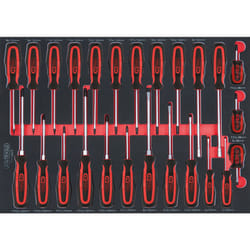 SCS Module de tournevis ERGOTORQUEplus, 25 pcs, modules système 1/1