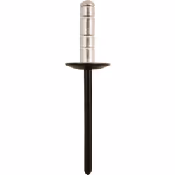 universel dans un sachet Bride en mm 12.1 Longueur 47.9 Domaine d'application Universal Poids 21 Diamètre en mm 3,9 Taille de ...
