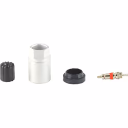 Pour fabricant Schrader Remplacement des valves nécessaire lors de chaque changement de pneus Contient des valves avec capuch ...