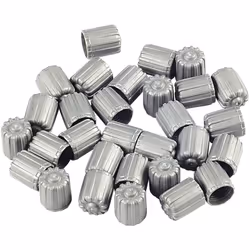 adaptée à toutes les soupapes argenté Matière plastique Poids 25 Taille de l'emballage 1