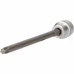 KS Tools 150.2781, Prise, 3/8", 1 tête(s), Sulfate de chondroïtine, 70 g